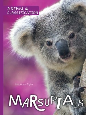 cover image of Marsupials